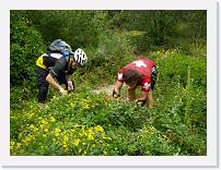 P9090018-a * Picking Hops * 650 x 487 * (256KB)