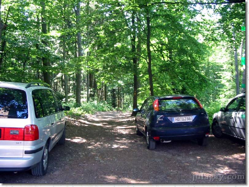 IMG_7524 This is the trail down to Schreisheim.  Normally there are no cars here...