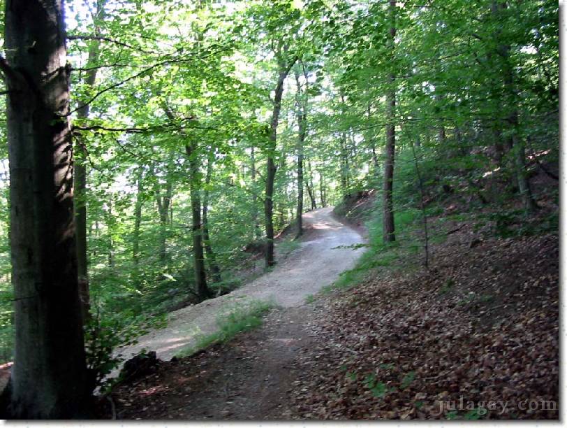 IMG_7539 Outlet of trail.  Next sections fast and semi-steep.  It's an excellent climb.